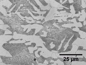 300x225 Figure 12. Light photomicrograph of the typical base metal microstructure from Mount M2 (4% Nital Etchant)., in Pilot Grove, MO PEPL explosion, by John S. Quarterman, for SpectraBusters.org, 25 August 2008