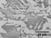 72x54 Figure 12. Light photomicrograph of the typical base metal microstructure from Mount M2 (4% Nital Etchant)., in Pilot Grove, MO PEPL explosion, by John S. Quarterman, for SpectraBusters.org, 25 August 2008